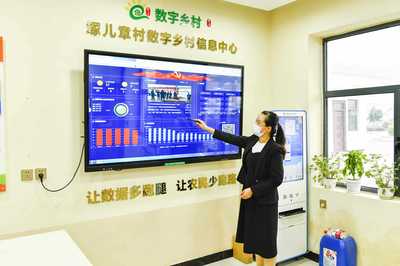 數(shù)字賦能淇濱 網(wǎng)絡(luò)技術(shù)服務(wù)驅(qū)動鄉(xiāng)村振興新篇章